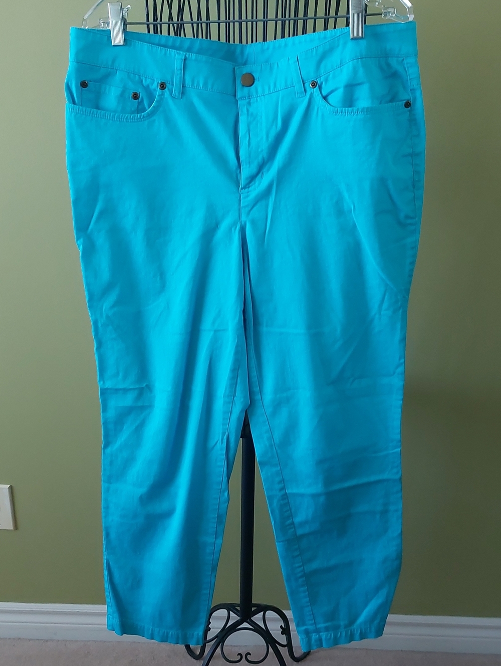 Jones Studio Turquoise Pants
